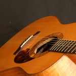 Schachle-Guitars- 117