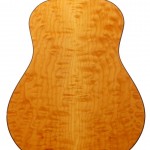 Schachle-Guitars- 51